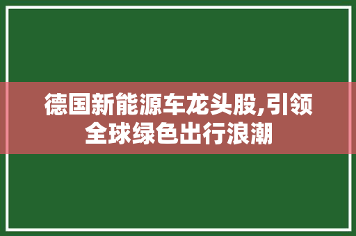 德国新能源车龙头股,引领全球绿色出行浪潮