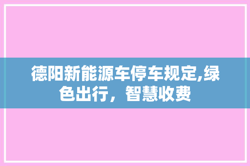 德阳新能源车停车规定,绿色出行，智慧收费