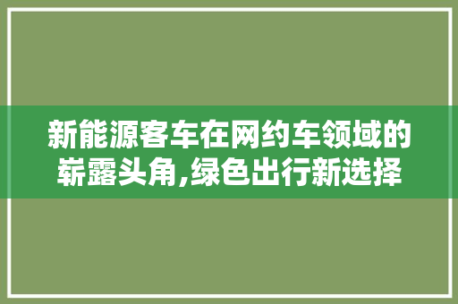 新能源客车在网约车领域的崭露头角,绿色出行新选择