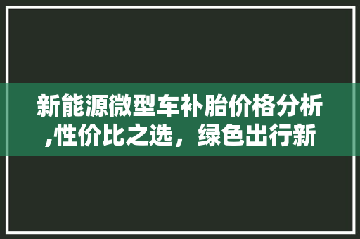 新能源微型车补胎价格分析,性价比之选，绿色出行新篇章