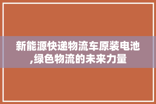 新能源快递物流车原装电池,绿色物流的未来力量