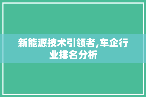 新能源技术引领者,车企行业排名分析