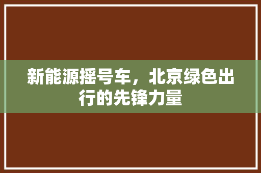 新能源摇号车，北京绿色出行的先锋力量