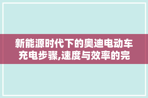 新能源时代下的奥迪电动车充电步骤,速度与效率的完美平衡
