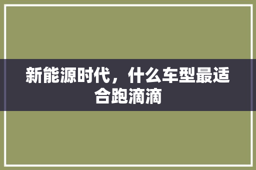 新能源时代，什么车型最适合跑滴滴