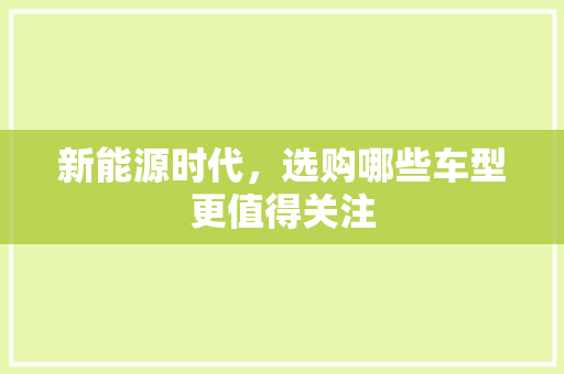 新能源时代，选购哪些车型更值得关注