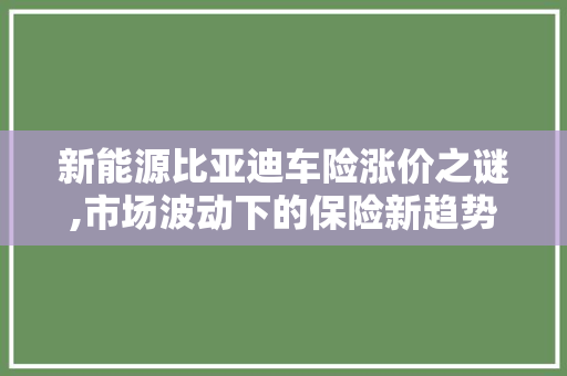 新能源比亚迪车险涨价之谜,市场波动下的保险新趋势