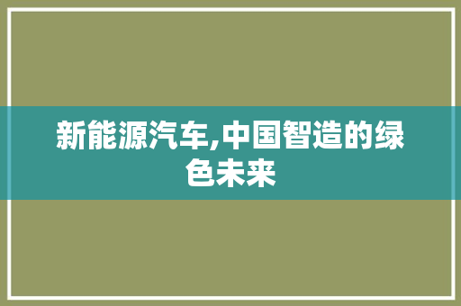 新能源汽车,中国智造的绿色未来