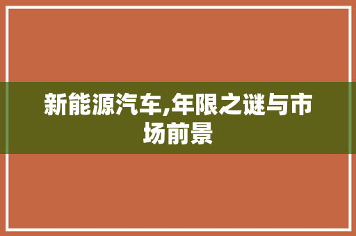 新能源汽车,年限之谜与市场前景