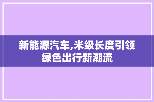 新能源汽车,米级长度引领绿色出行新潮流