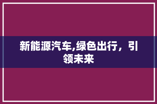 新能源汽车,绿色出行，引领未来