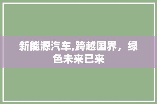 新能源汽车,跨越国界，绿色未来已来