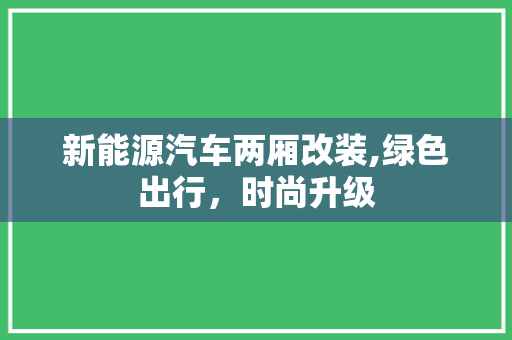 新能源汽车两厢改装,绿色出行，时尚升级