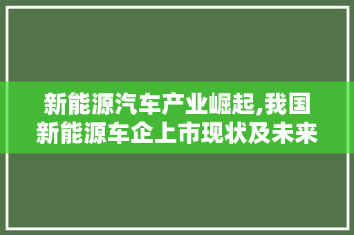 新能源汽车产业崛起,我国新能源车企上市现状及未来展望
