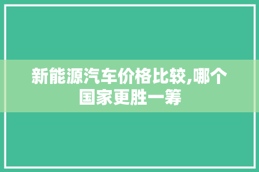 新能源汽车价格比较,哪个国家更胜一筹