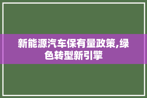 新能源汽车保有量政策,绿色转型新引擎