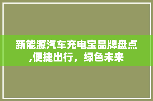 新能源汽车充电宝品牌盘点,便捷出行，绿色未来