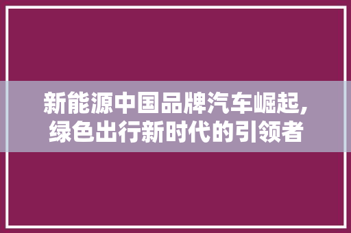 新能源中国品牌汽车崛起,绿色出行新时代的引领者