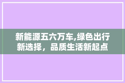 新能源五六万车,绿色出行新选择，品质生活新起点