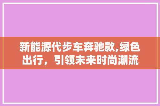 新能源代步车奔驰款,绿色出行，引领未来时尚潮流