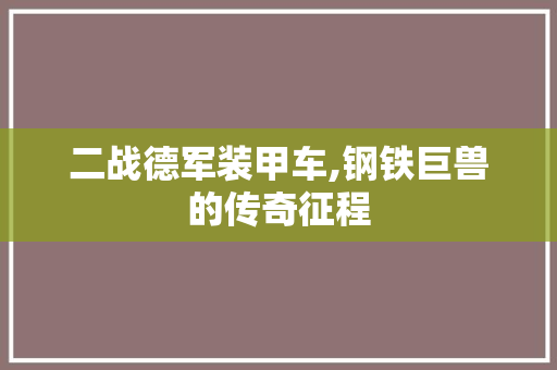 二战德军装甲车,钢铁巨兽的传奇征程