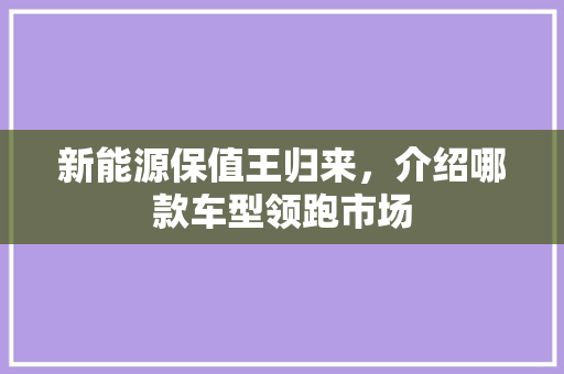 新能源保值王归来，介绍哪款车型领跑市场