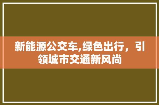新能源公交车,绿色出行，引领城市交通新风尚