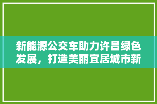 新能源公交车助力许昌绿色发展，打造美丽宜居城市新名片