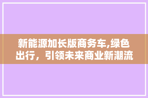 新能源加长版商务车,绿色出行，引领未来商业新潮流