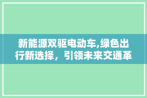 新能源双驱电动车,绿色出行新选择，引领未来交通革命