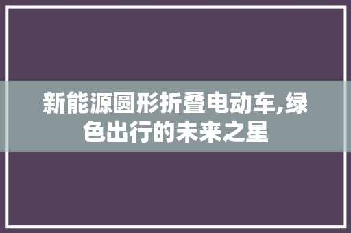 新能源圆形折叠电动车,绿色出行的未来之星