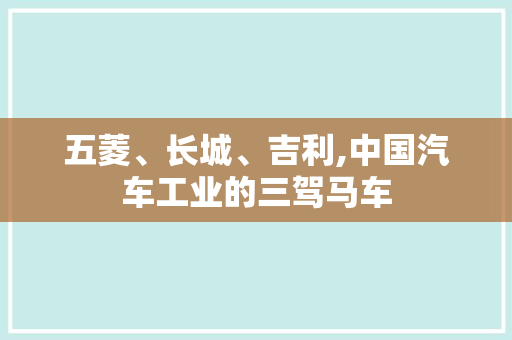 五菱、长城、吉利,中国汽车工业的三驾马车