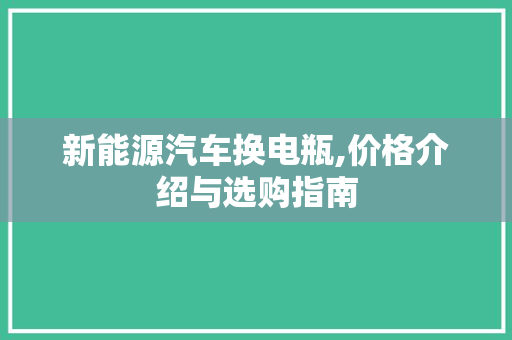 新能源汽车换电瓶,价格介绍与选购指南