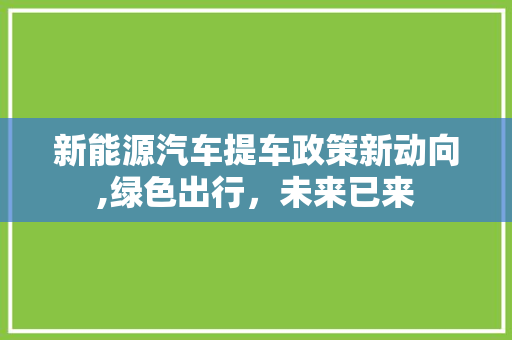 新能源汽车提车政策新动向,绿色出行，未来已来