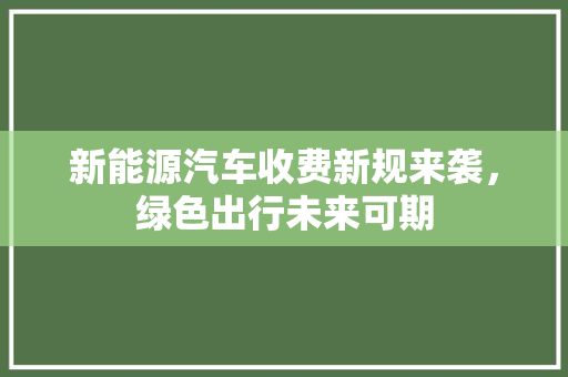 新能源汽车收费新规来袭，绿色出行未来可期