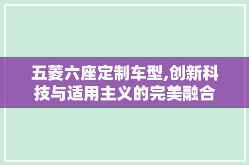 五菱六座定制车型,创新科技与适用主义的完美融合