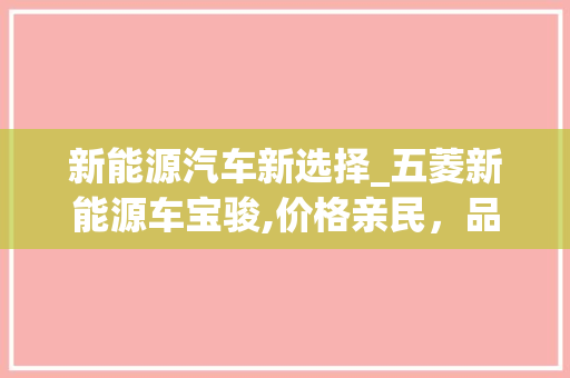 新能源汽车新选择_五菱新能源车宝骏,价格亲民，品质卓越