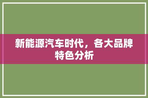 新能源汽车时代，各大品牌特色分析