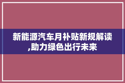 新能源汽车月补贴新规解读,助力绿色出行未来
