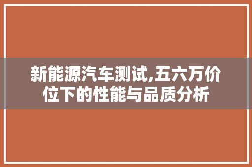 新能源汽车测试,五六万价位下的性能与品质分析