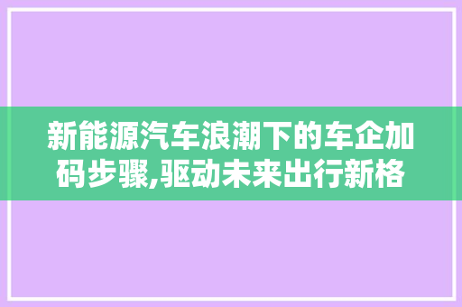 新能源汽车浪潮下的车企加码步骤,驱动未来出行新格局