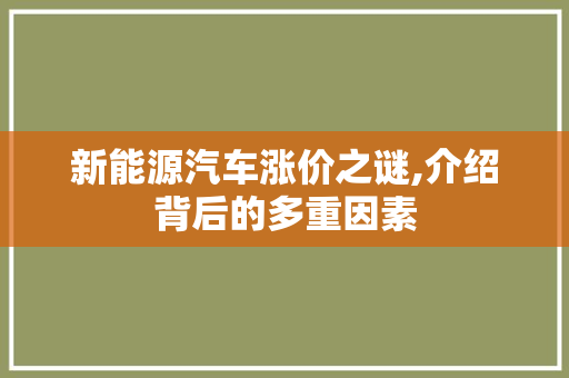 新能源汽车涨价之谜,介绍背后的多重因素
