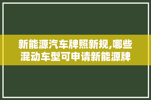 新能源汽车牌照新规,哪些混动车型可申请新能源牌