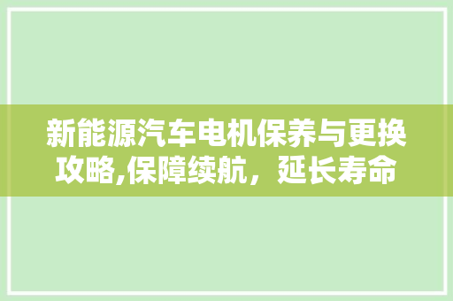 新能源汽车电机保养与更换攻略,保障续航，延长寿命