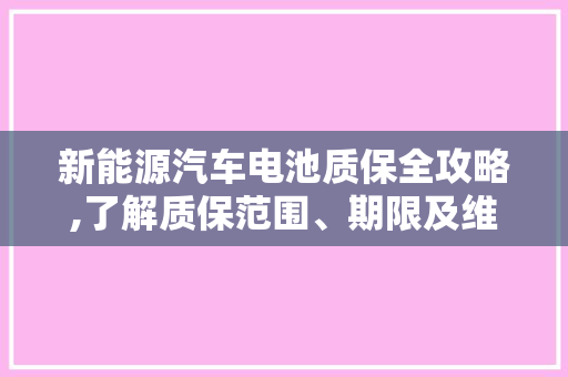 新能源汽车电池质保全攻略,了解质保范围、期限及维权途径