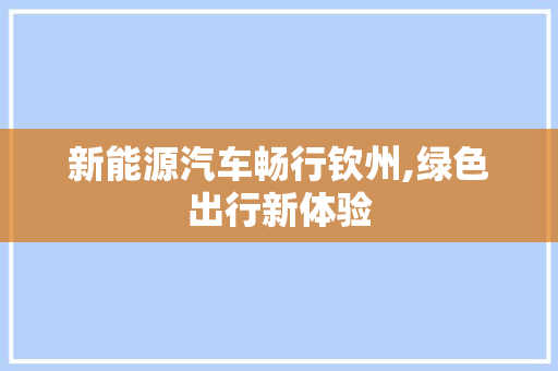新能源汽车畅行钦州,绿色出行新体验