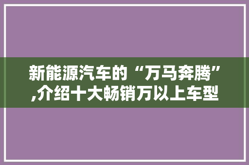 新能源汽车的“万马奔腾”,介绍十大畅销万以上车型