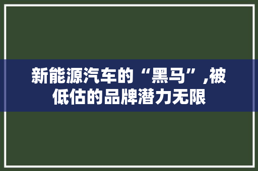 新能源汽车的“黑马”,被低估的品牌潜力无限