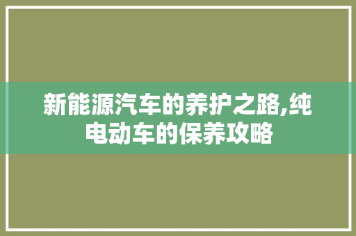 新能源汽车的养护之路,纯电动车的保养攻略
