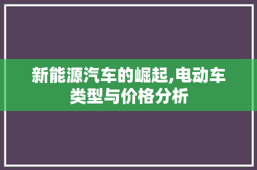 新能源汽车的崛起,电动车类型与价格分析